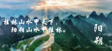 可怜猫的救援