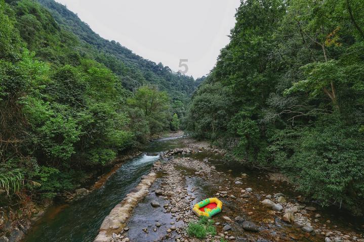 战锤：全面战争