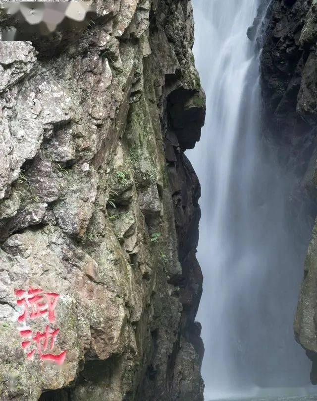 夏季热带海滩逃生